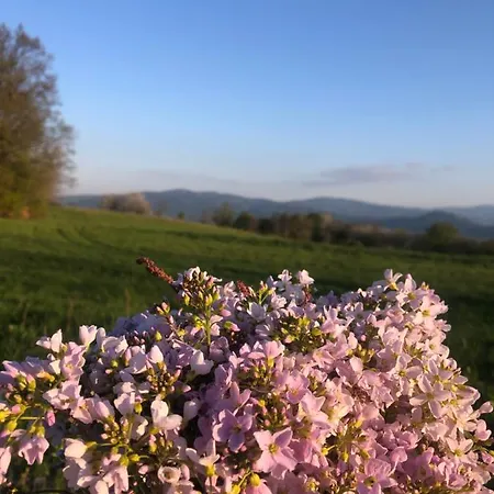 아파트 3 Pory Roku