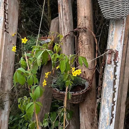 아파트 3 Pory Roku