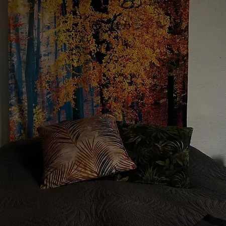 3 Pory Roku * Komarno